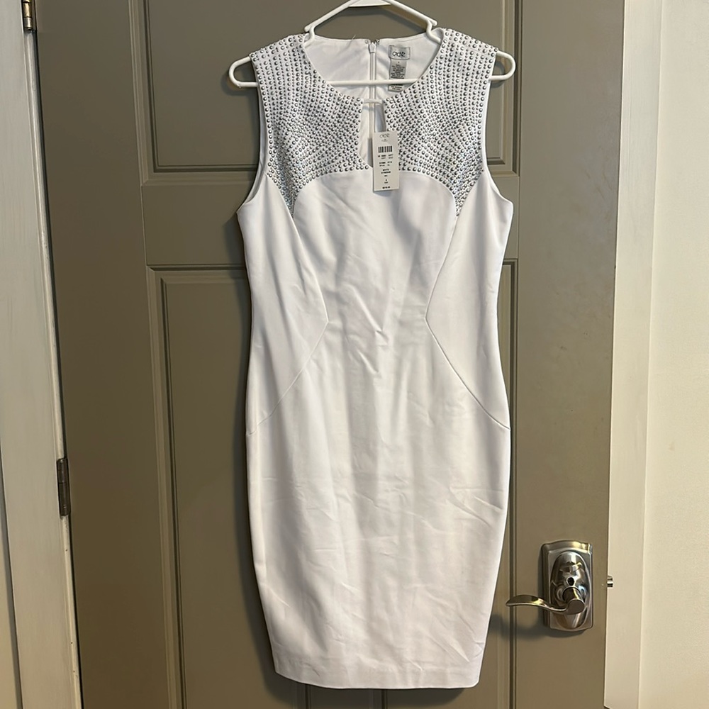 Cache Size 8 Dress (Accepting Offers)